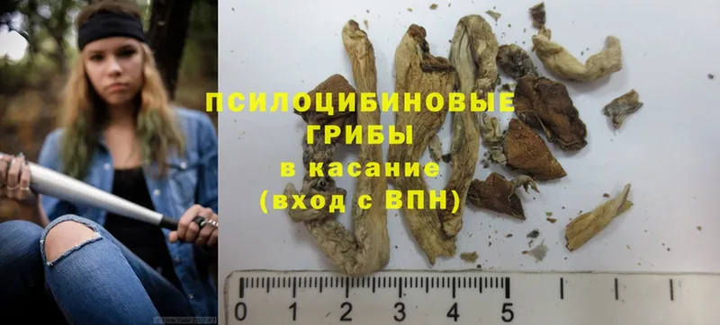 как найти наркотики  ОМГ ОМГ ТОР  Галлюциногенные грибы MAGIC MUSHROOMS  Выкса 